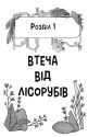 Квест у джунглях : шукачі пригод